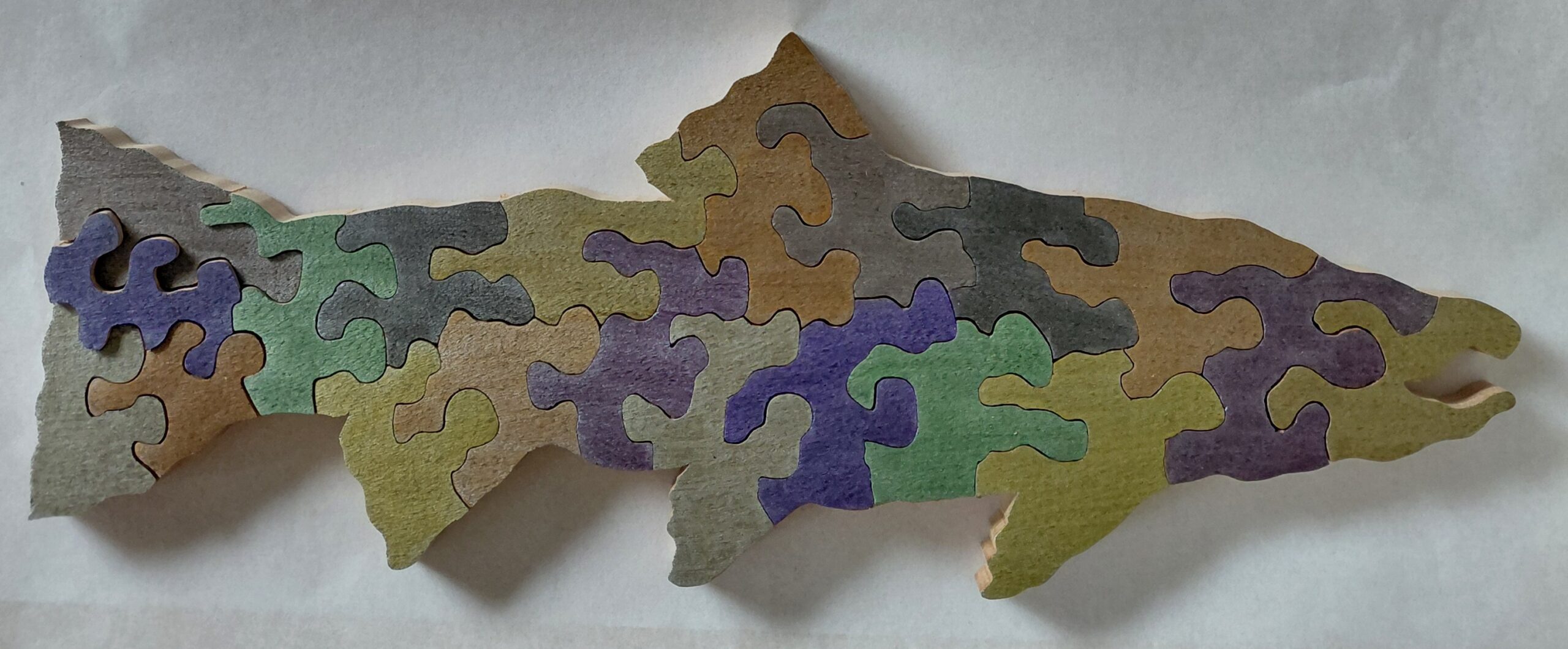 salmon puzzle