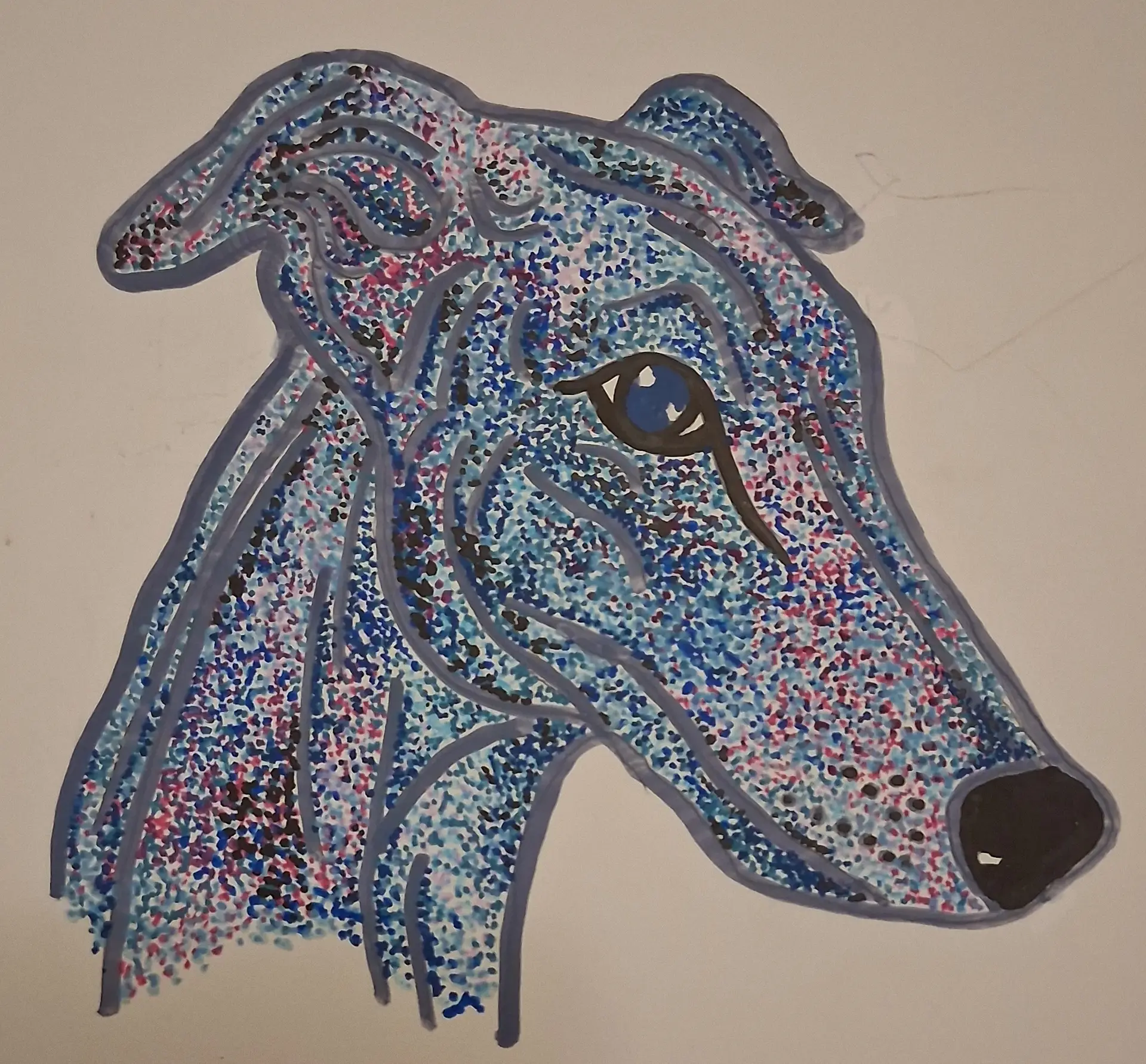 blue greyhound