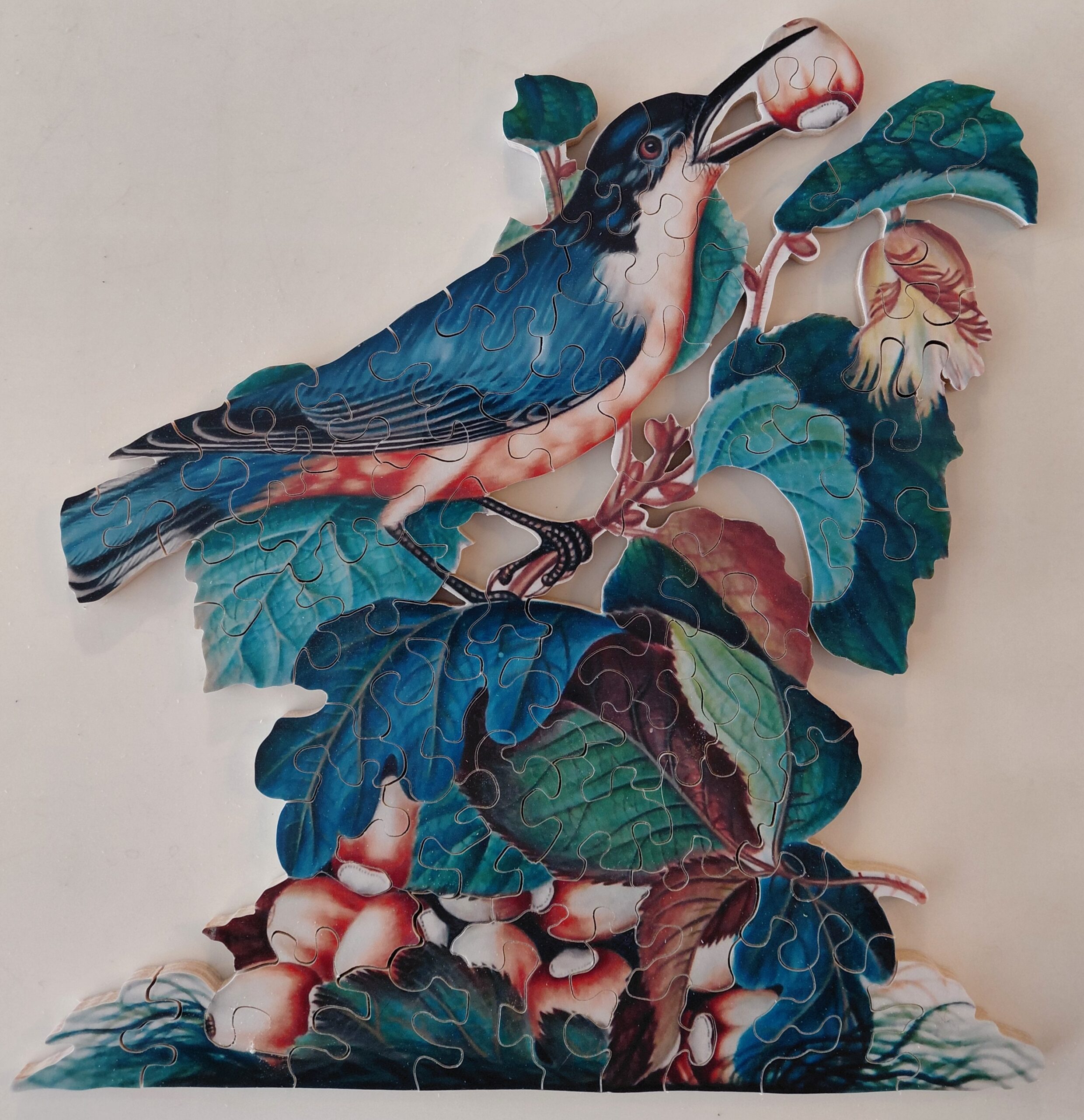 Anna Blackburne