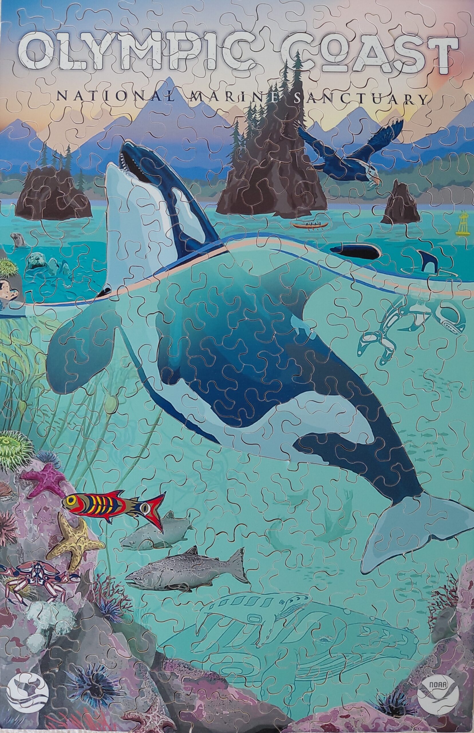 Olympic Coast National Marine Sanctuary puzzle