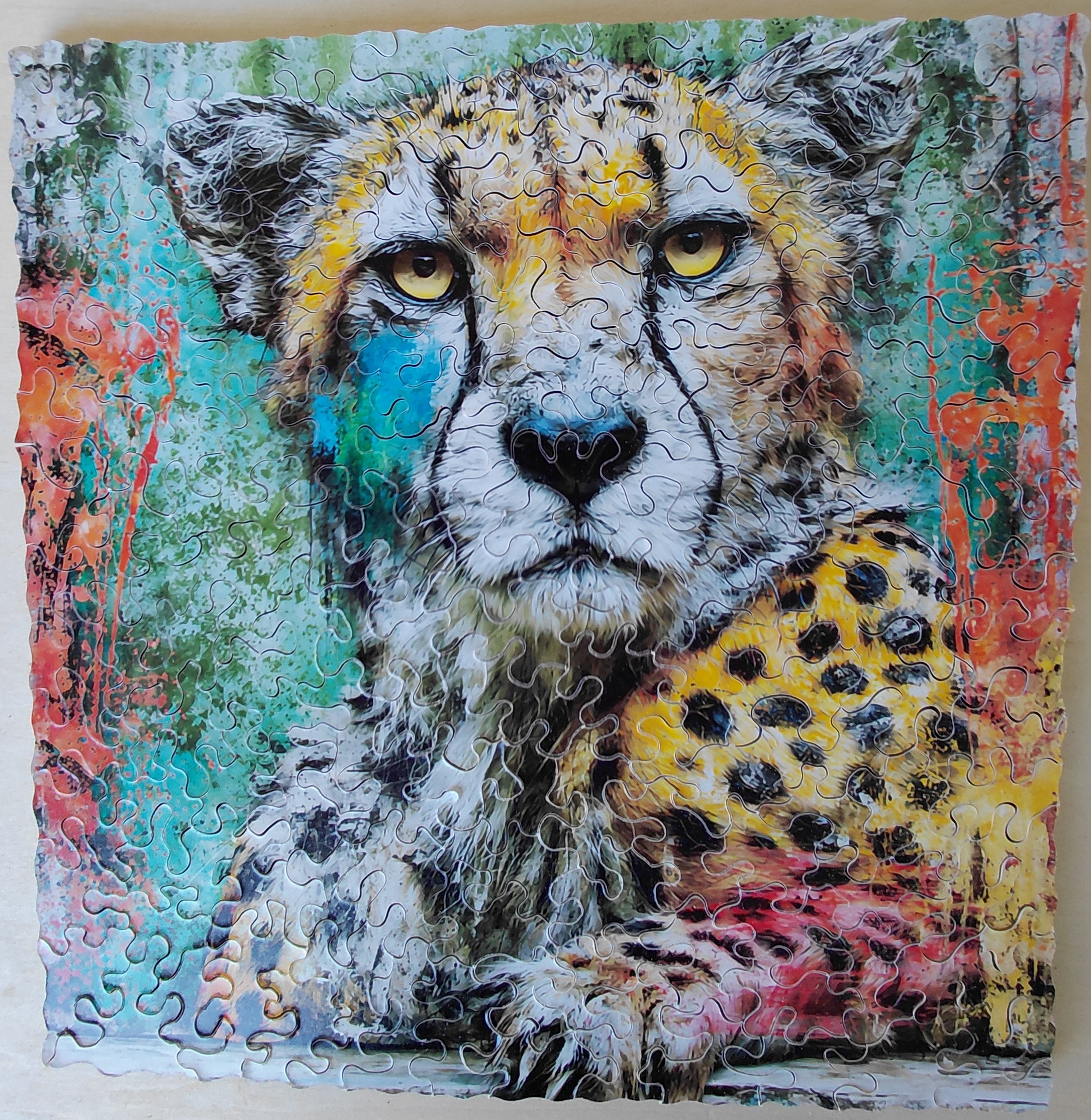 Linnaea Mallette cheetah